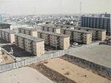建て替え事業中の長谷川住宅（北方住宅）。4階建ての住棟が一定の間隔で整然と並んでいる（写真：岐阜県都市建築部住宅課提供）