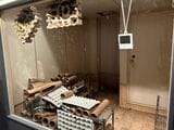見学ツアーいちばんの見所「ゴキブリ部屋」。6畳ほどの空間に60万匹ものワモンゴキブリを放し飼いにしている。実際にこの室内にも入室させてもらったが、強烈な臭いが充満していた（筆者撮影）