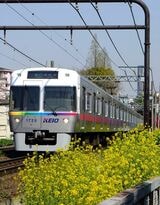 渋谷のビル群をバックに神泉を出て吉祥寺へ向かう電車（撮影：南正時）