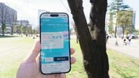 スマホで桜の健康診断──キリンビールの挑戦