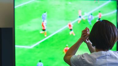 ｢試合を観ているだけ｣でも危ない…ワールドカップで詐欺が急増､開催中は"サイバー攻撃の繁忙期" 企業にも影響