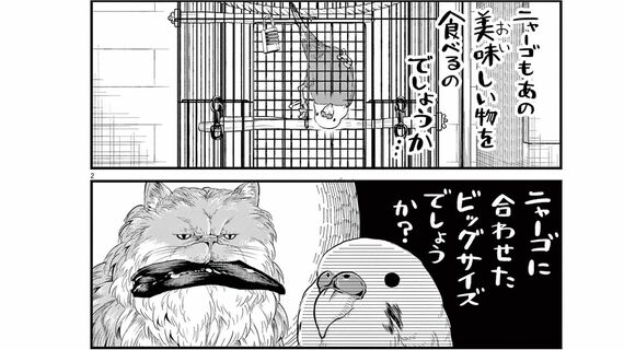 ニャーゴとピュロロロ