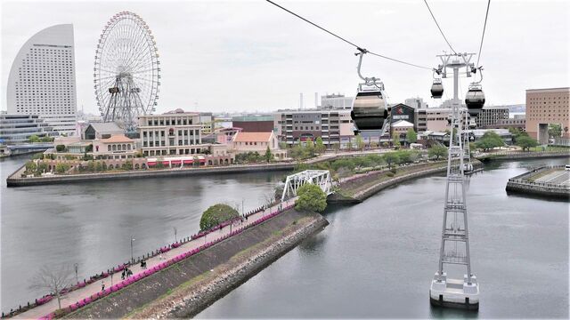 乗ればわかる横浜ロープウェー 1000円 の真価 ローカル線 公共交通 東洋経済オンライン 社会をよくする経済ニュース