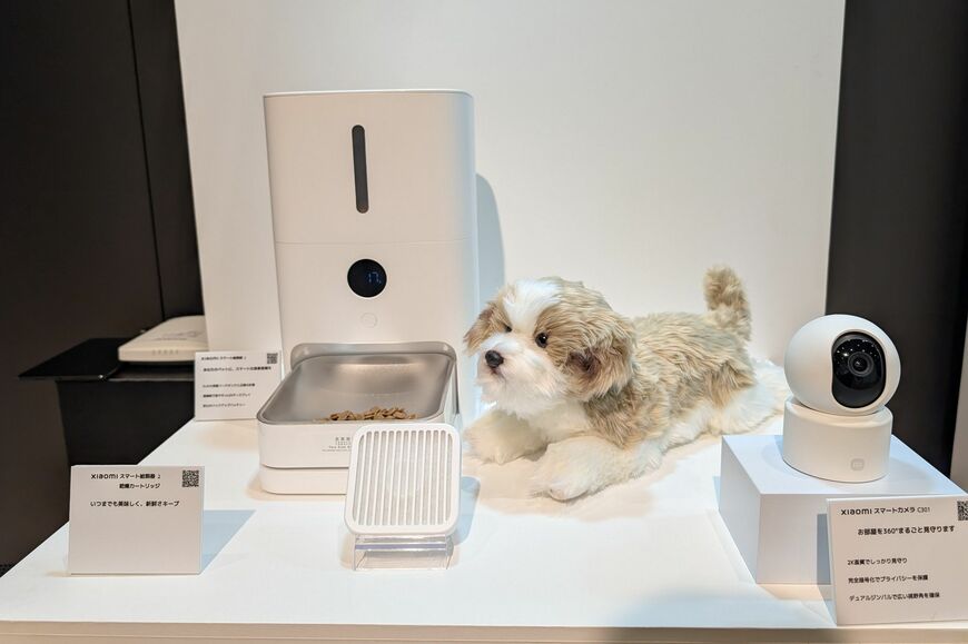 ペット用給餌器（左）とスマートカメラ（筆者撮影）
