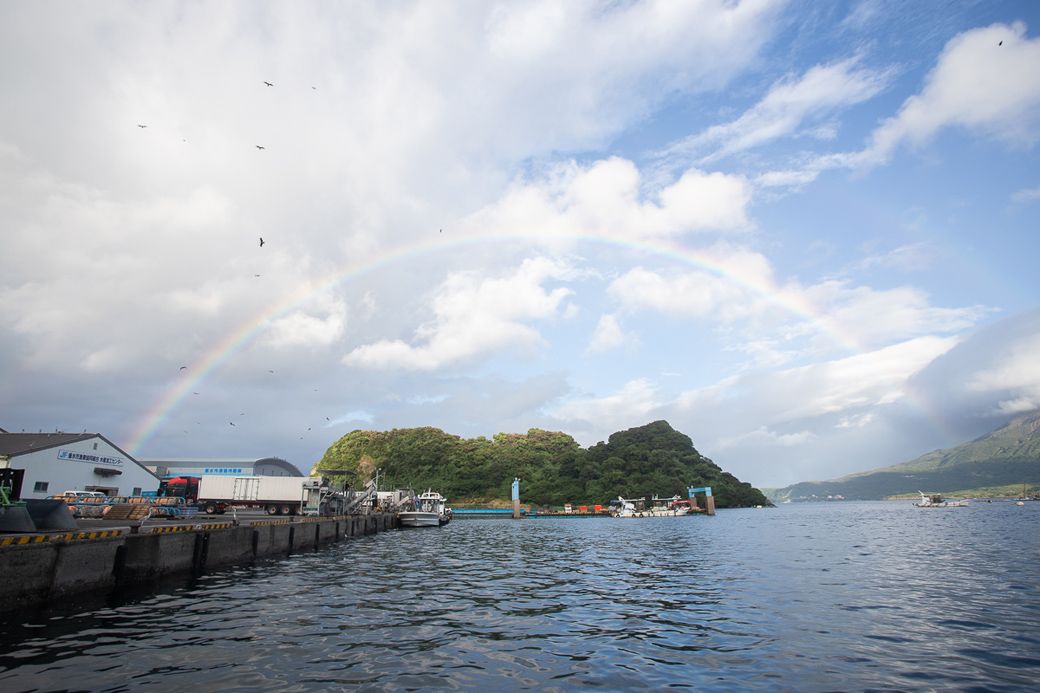 江ノ島と桜島を望む漁場（写真：著者撮影） 
