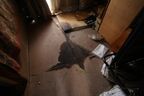 畳をどけて出てきた染み
