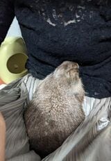 （写真：まる子さん提供）