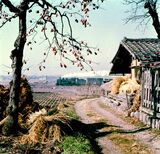 小海線龍岡城付近を行くC56形の貨物列車（撮影：南正時）