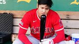 9月1日、試合前にベンチでバットを見つめる大谷翔平（写真：日刊スポーツ）