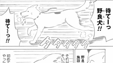 老人ホームに迷い込んだ｢野良犬｣起こした奇跡