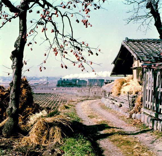 小海線 龍岡城 C56貨物列車