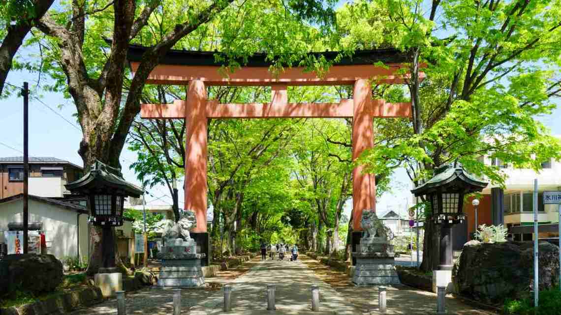 駅前の喧騒を抜けると、氷川神社の周辺に閑静な住宅街が広がる大宮(写真:ジャバ/PIXTA)