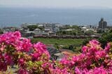 海をバックに三浦半島を走る2100形（撮影：南正時）