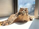 （写真提供：ゲンさん）