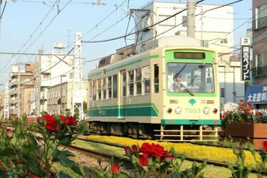 誕生100余年､｢都電荒川線｣の変わらぬ魅力 歴史や車両について､のんびり