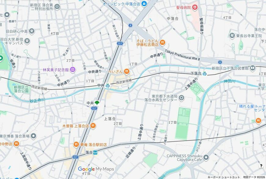 妙正寺川は西武新宿線の線路と平行するように流れている。中井駅の北側に坂がいくつもある（Googleマイマップ）