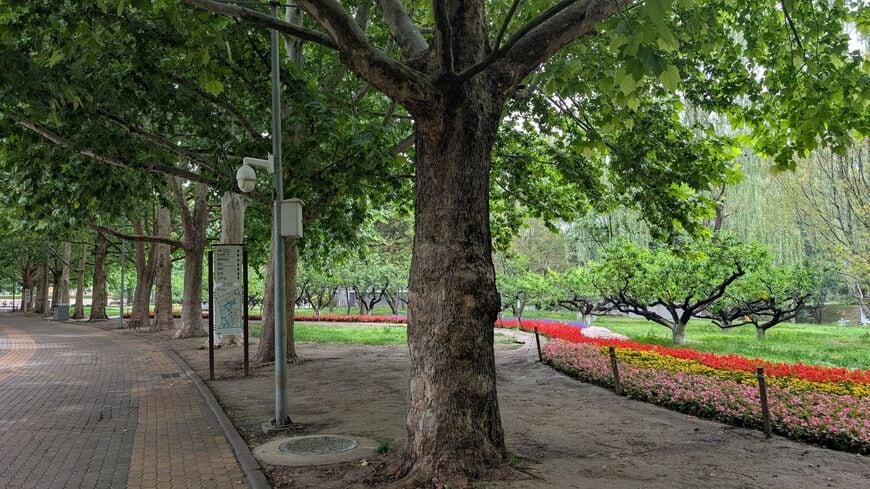 朝陽公園