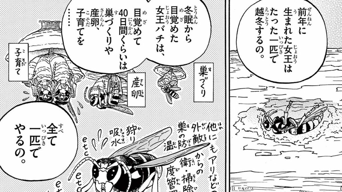 日本で最も人を殺す｢野生生物｣の驚くべき一生 漫画｢へんなものみっけ！｣（第10集･第81話） | へんなものみっけ！ | 東洋経済オンライン