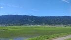 久大本線から見える耳納連山