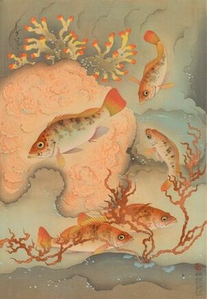 今夜は刺身！と言いたくなる、すごい版画 70年前の魚・版画マニアの