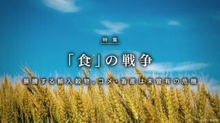 「食」の戦争 暴騰する輸入穀物。コメ・畜産は未曾有の危機