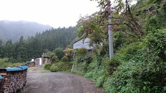 群馬県南牧村の様子