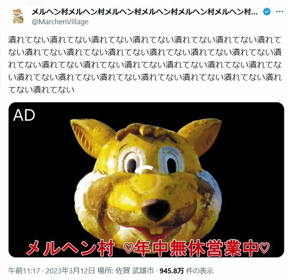 公式X