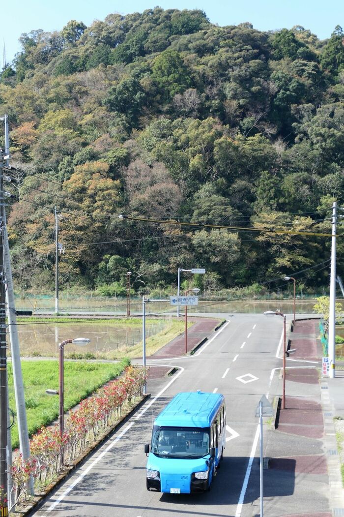 バス区間では地方のローカルバスそのものである