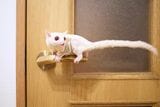 （写真提供：ひろさん）