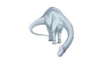 ディプロドクス