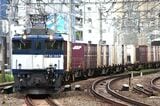 早朝の山手貨物線・恵比寿―渋谷間を走るEF64形牽引の貨物列車（撮影：南正時）