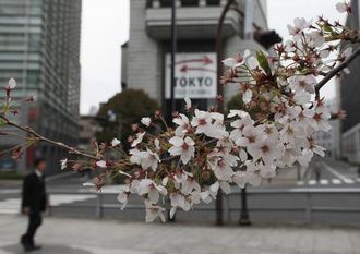 日経平均は4日続落､連日で年初来安値更新