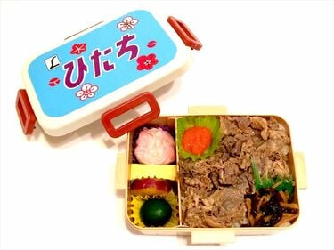 大人気｢特急ヘッドマーク弁当｣誕生の秘密 旅の記憶がよみがえる？中身