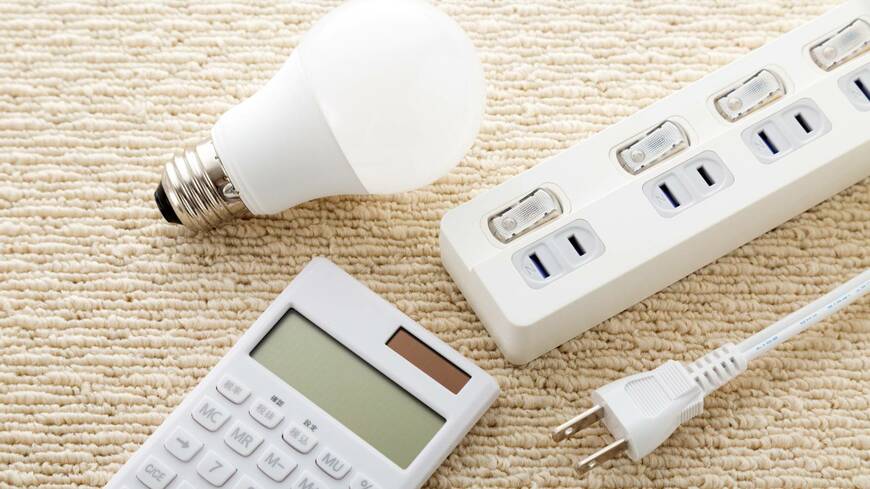 電気の素性がわかる仕組みが注目を集めている（写真：freeangle／PIXTA）
