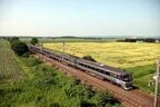 平原を疾走するJR北海道の785系