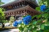 鎌倉