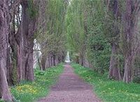 （第43回）大学別就職人気企業ランキング（北海道大学編）