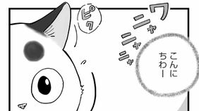おじいさんを困らせる｢困った子猫｣ 連日の問題行動の裏にあった"切実な事情" 漫画｢ひろみ猫シッターサービス｣（第10話）