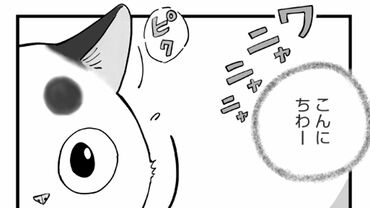ひろみ猫シッターサービス