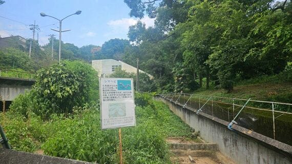 野生生態実験場