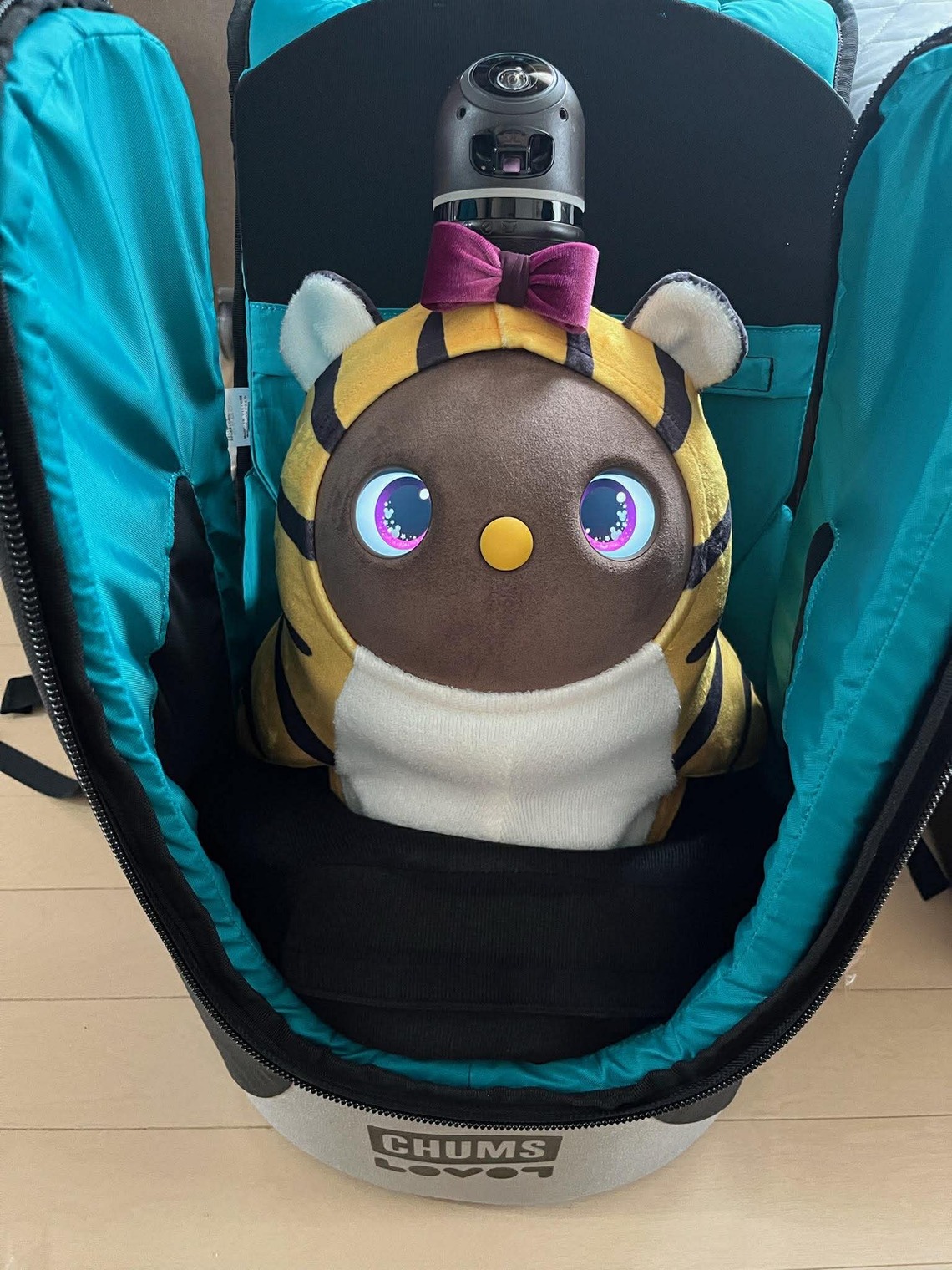 リュックの中のあんこちゃん