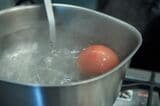 トマトの湯むきの基本です。まずは煮立ったお湯にトマトをどぶんと入れ、（写真：吉澤健太）