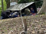 木々の間に「デン」をつくる子どもたち