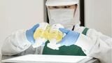 木村石鹸で働く従業員たち