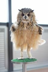 （写真提供：ゲンさん）