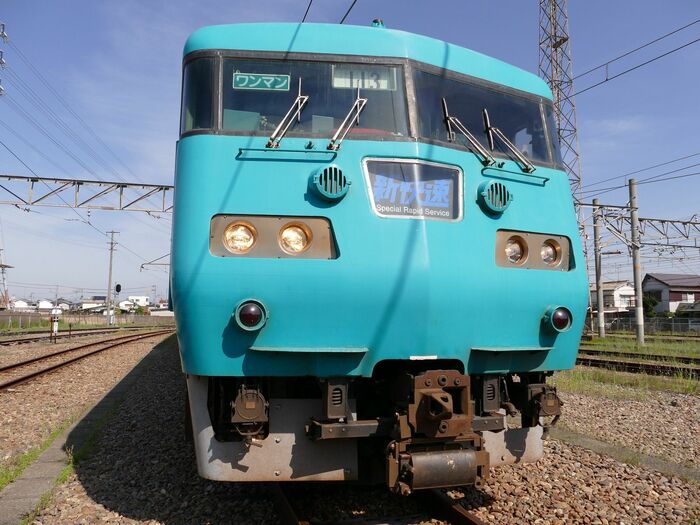 頬を膨らませたような顔が特徴だ