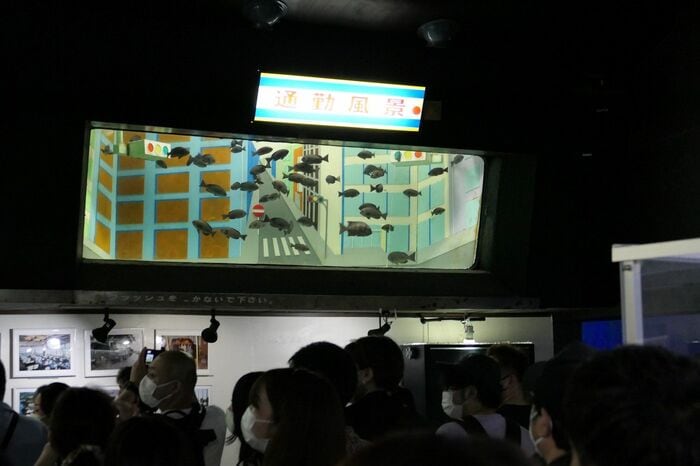 魚の国「魚のパフォーマンス」