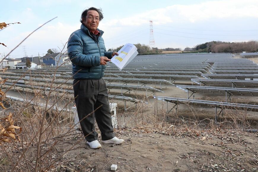 砂丘林の端に立つ高橋敏明さん。約2m低くなった土地に並ぶ太陽光発電所の向こうに残っている砂丘林が見える（撮影：河野博子）