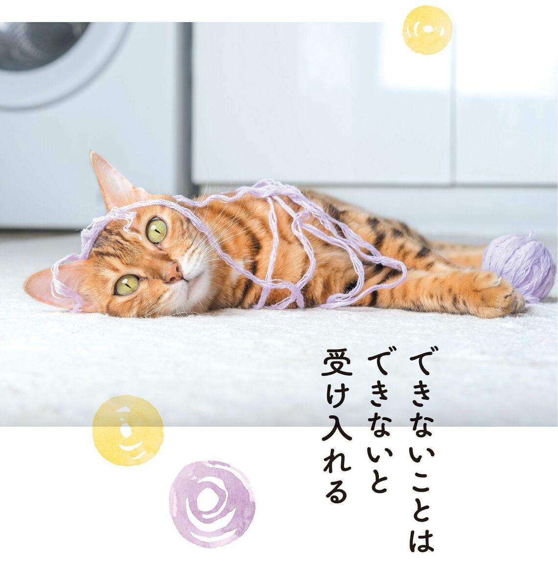 （出所：『そんなに怒らニャくてもいいんだよ ネコと学ぶ心が軽くなる方法』より）