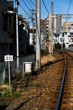 線路の脇に等間隔で置かれているコンクリートが